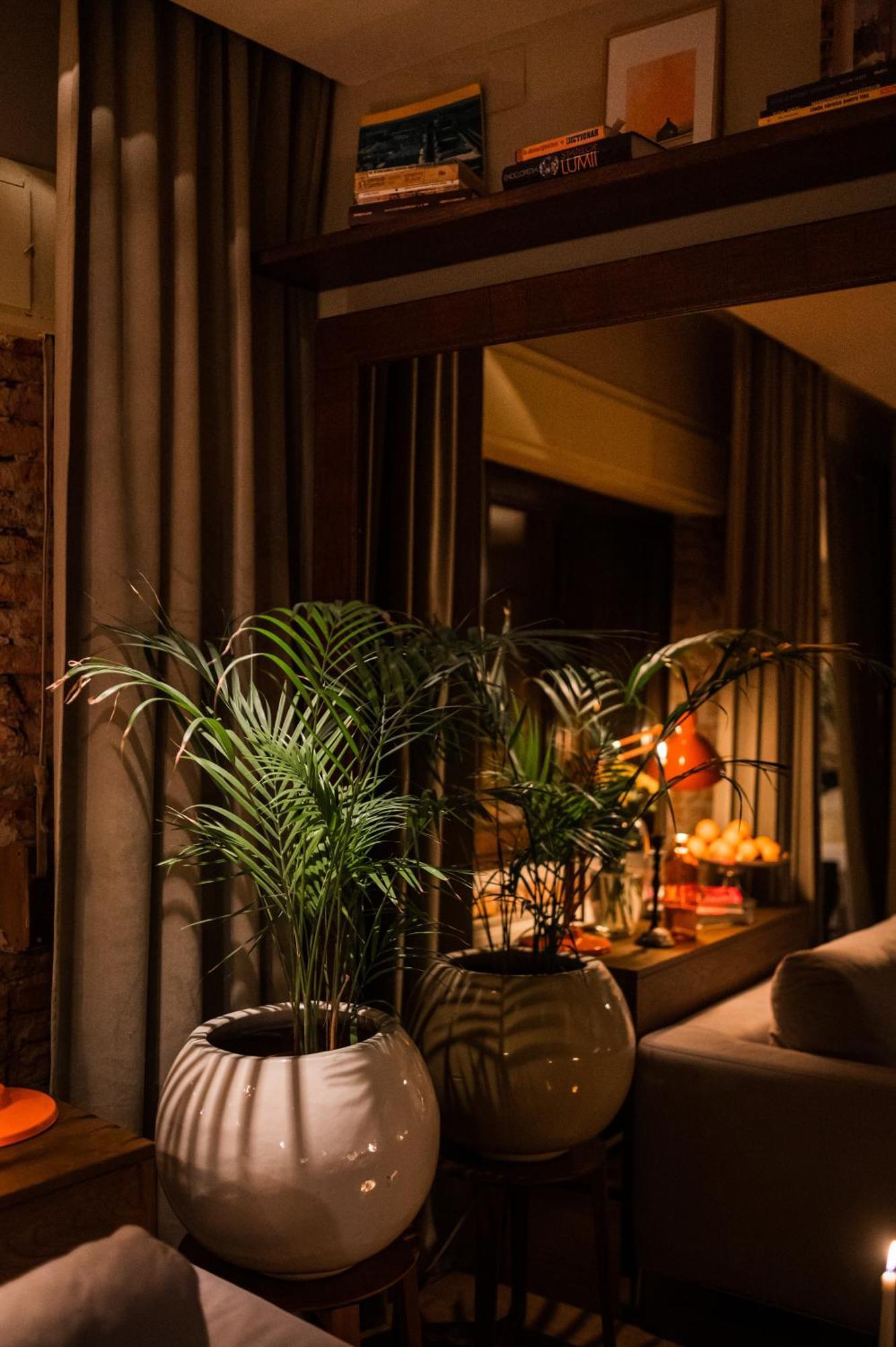 Le Petit Chalet - Artegianale บราชอฟ ภายนอก รูปภาพ
