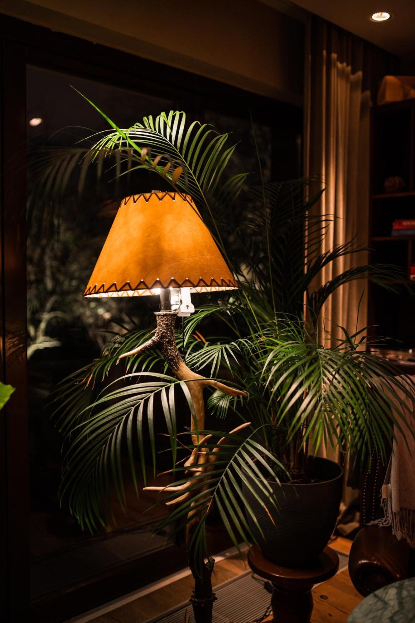 Le Petit Chalet - Artegianale บราชอฟ ภายนอก รูปภาพ